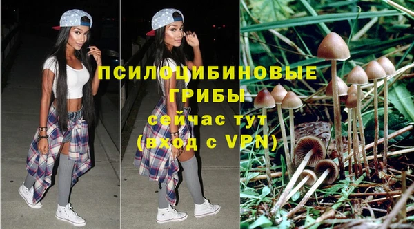 не бодяженный Каменка